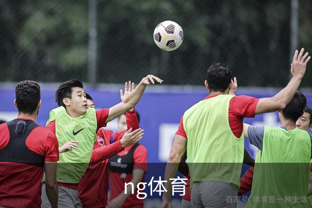 ng体育公司介绍图